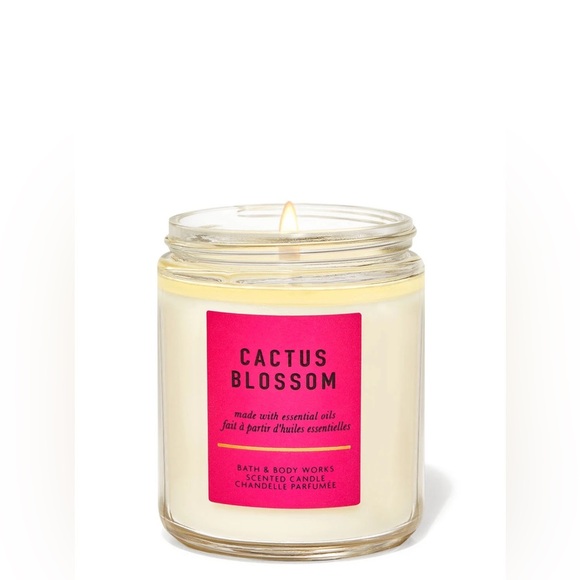 BBW Cactus Blossom Single Wick Candle - Picture 1 of 1